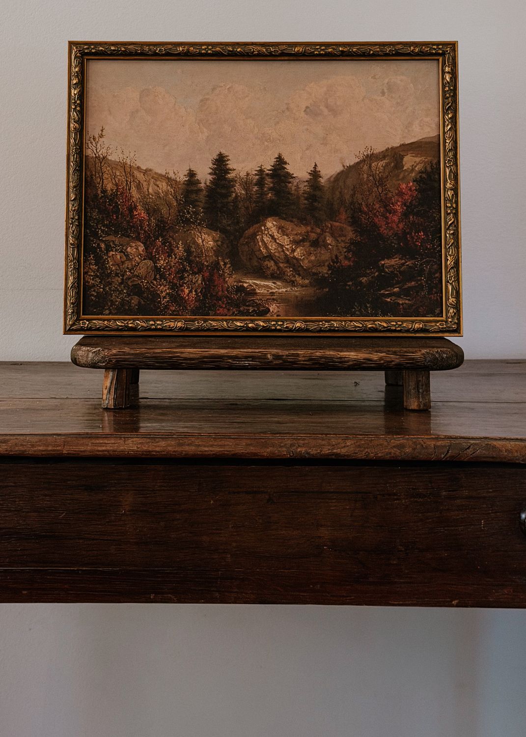 Canvas in the Wood