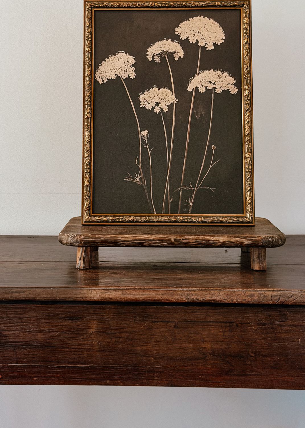 Midnight Flowers