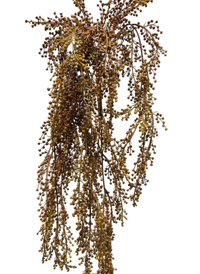 Pepperberries Vine | Brown-Orange