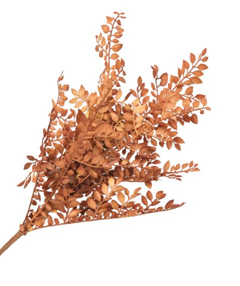 Boxwood Fall - Brown