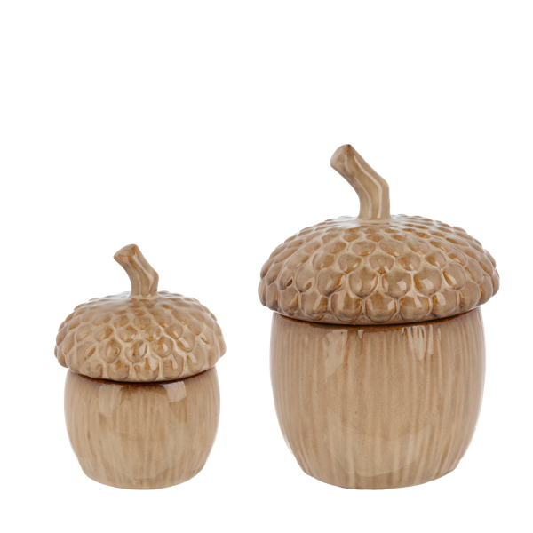 Acorn Container