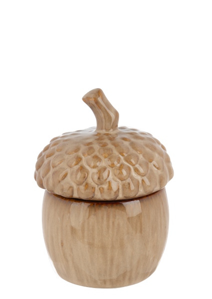 Acorn Container