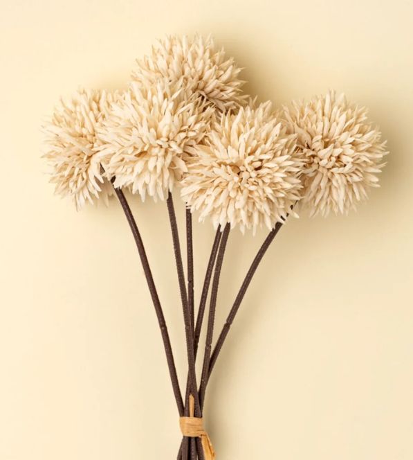 Mini Allium Bouquet | Cream