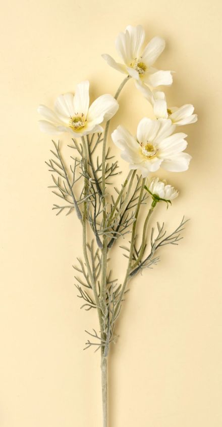 White Cosmo Spray