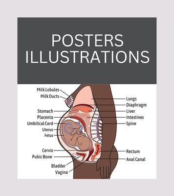 POSTERS AND ILLUSTRATIONS