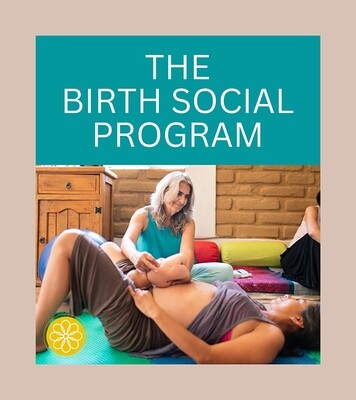 BIRTH SOCIAL GROUP PRENATAL CARE