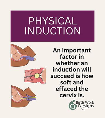 PHYSICAL INDUCTION