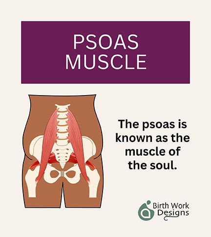 THE PSOAS