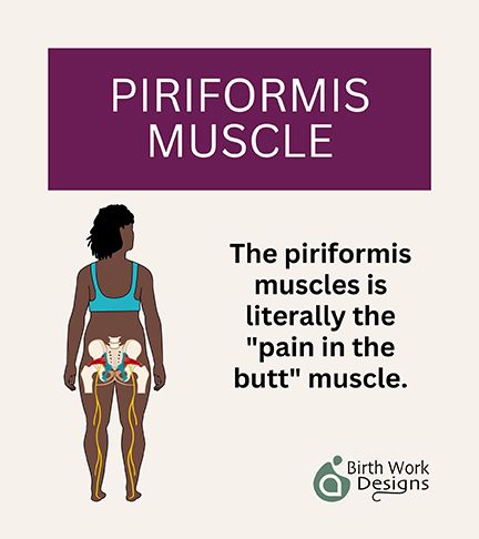 THE PIRIFORMIS MUSCLE