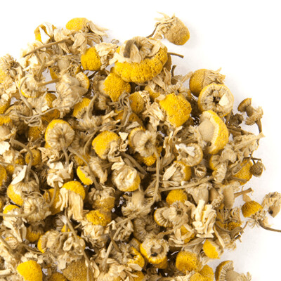 Egyptian Chamomile