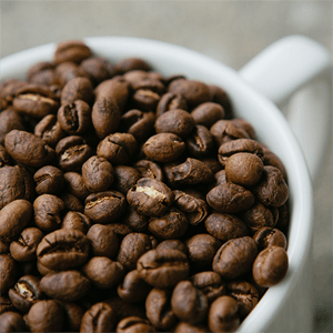 Honduran City Roast