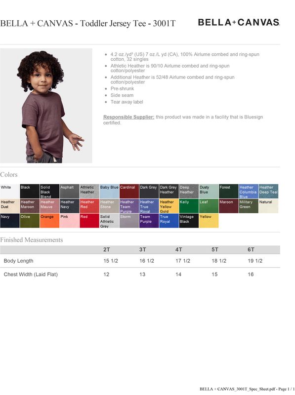 Bella + Canvas 3001T