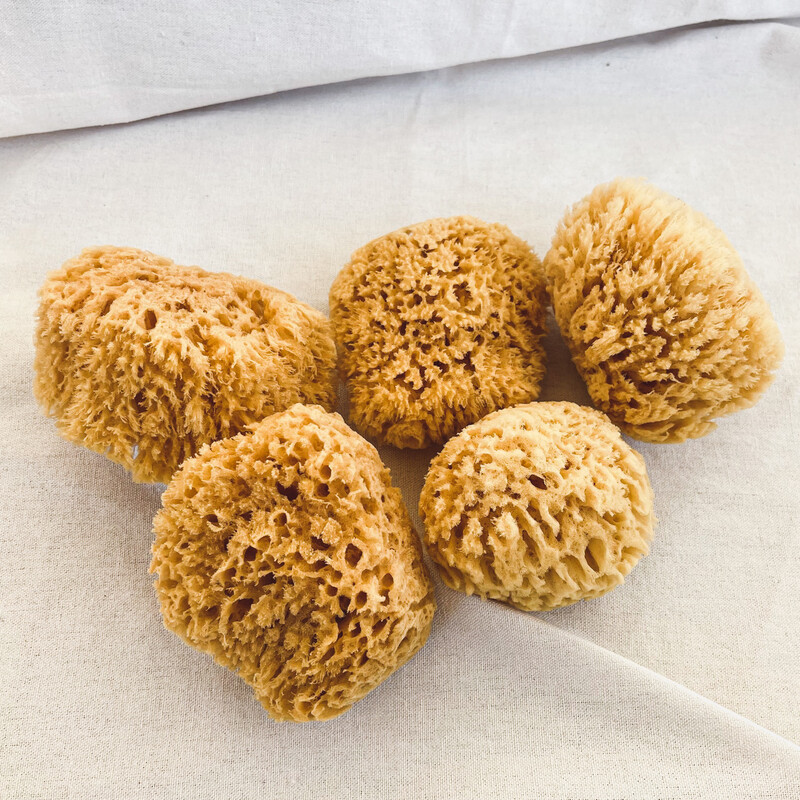 Sea Sponge || All Natural Body Loofah