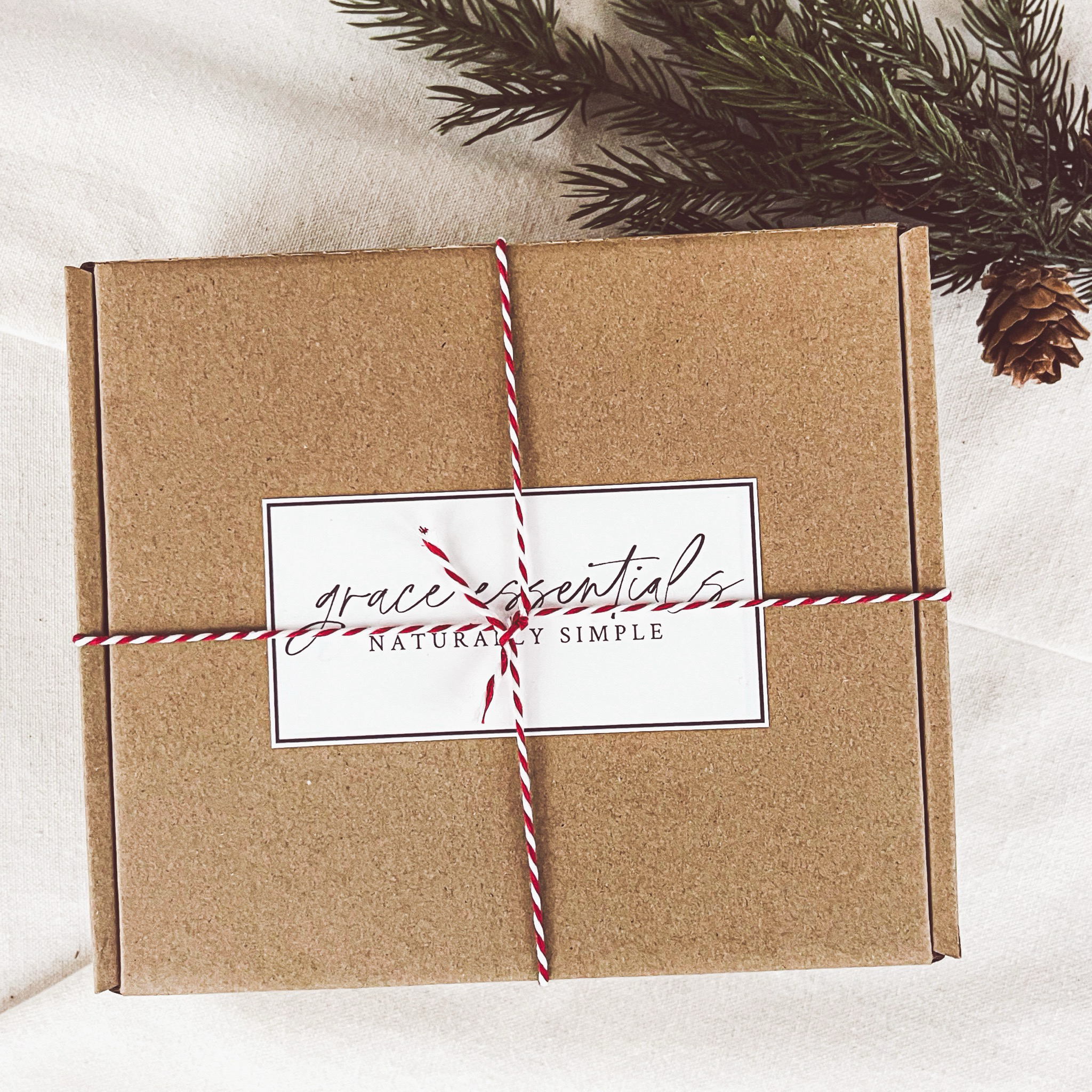 Christmas Gift Box || Whip + Balm + Chapstick Options