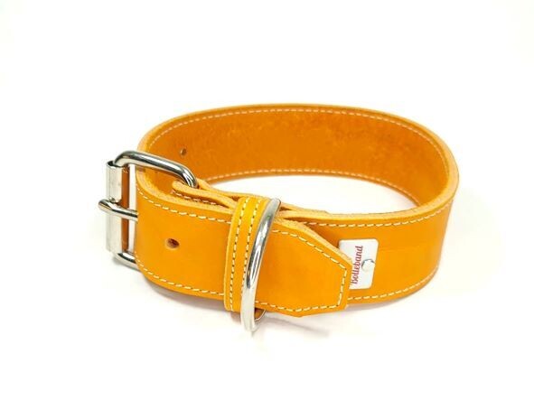 Orange leather collar  4 cm wide