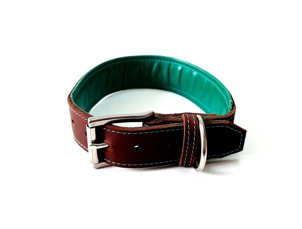 Padded leather collar brown and turquoise 4.5 cm wide