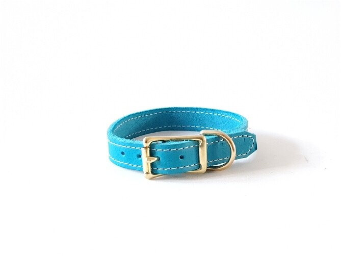 Leather collar turquoise 2 cm wide