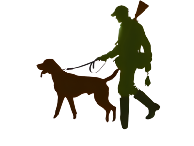 Leash Hunting dog
