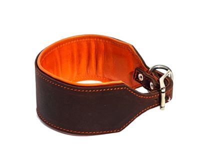 Greyhound collar leather padded brown orange 6.5 cm wide