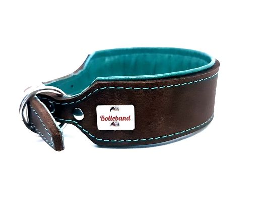 Greyhound leather collar brown  tourquoise 4.5 cm wide