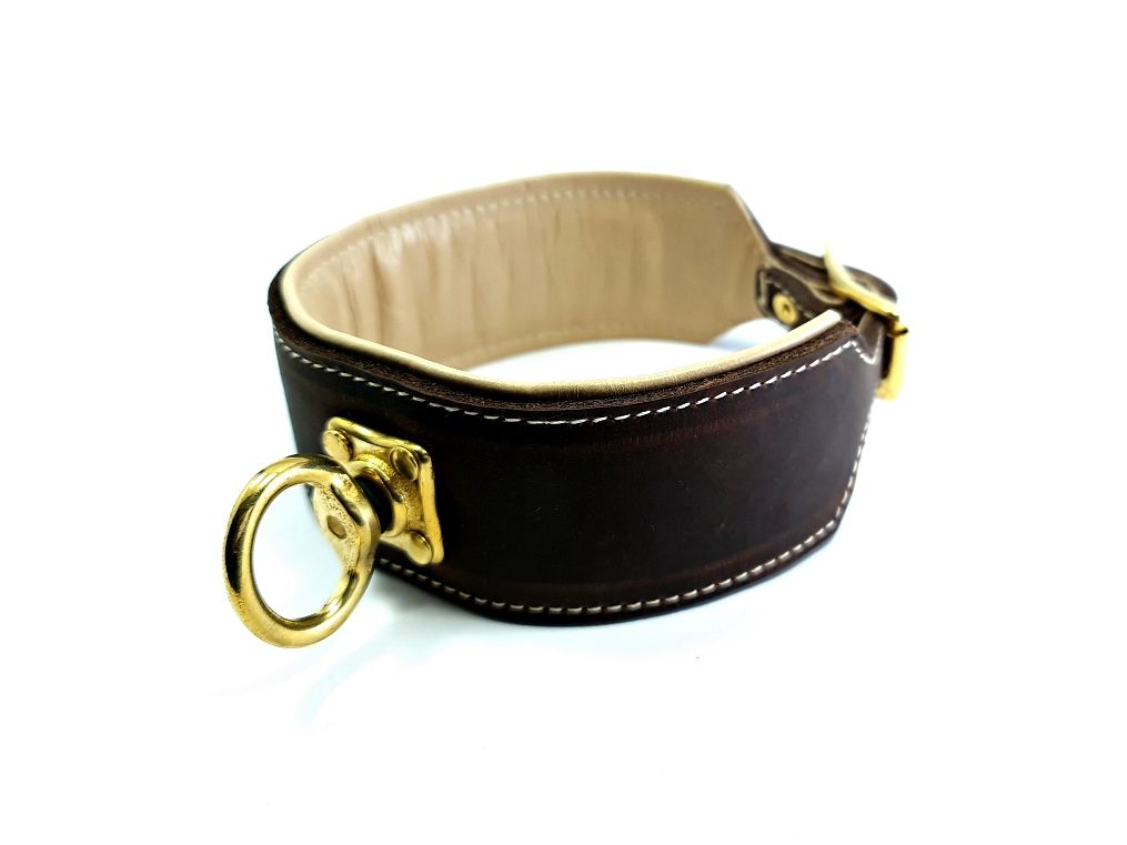 Blood tracking collar brown cream