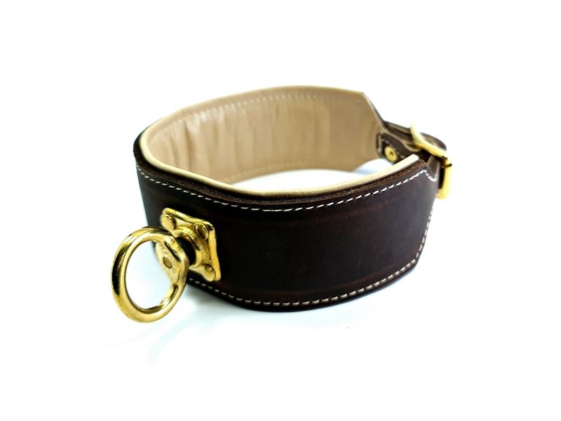 Blood tracking collar brown cream