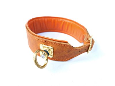Blood tracking collar cognac orange