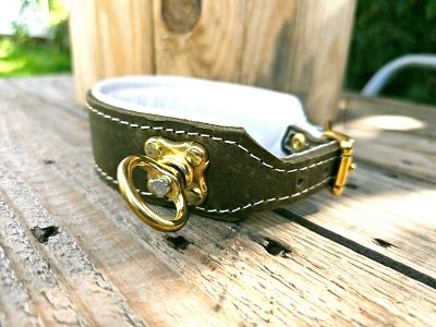 Blood tracking collar olive cream