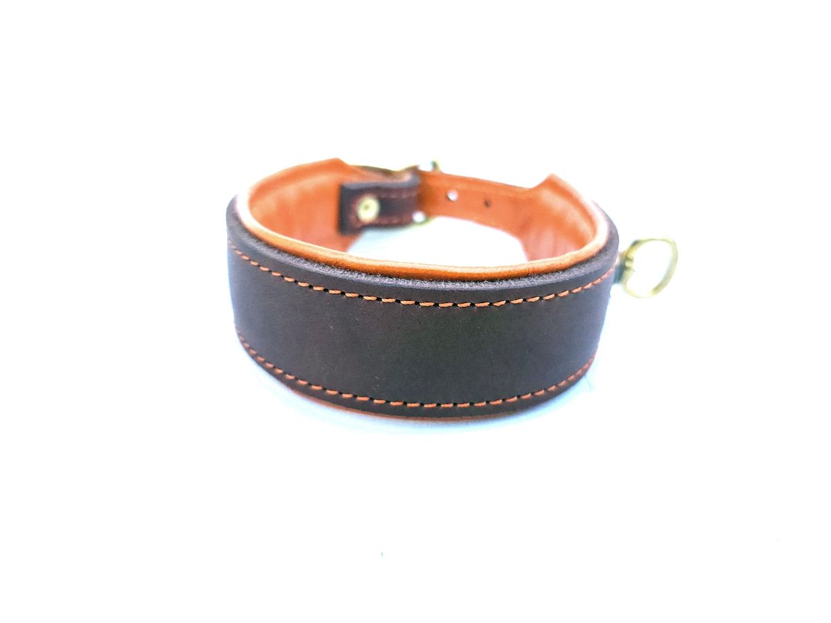 Blood tracking collar brown orange