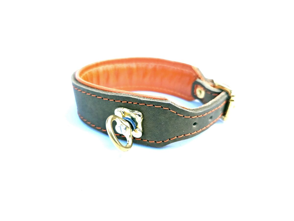 Blood tracking collar olive orange 3,5 cm wide
