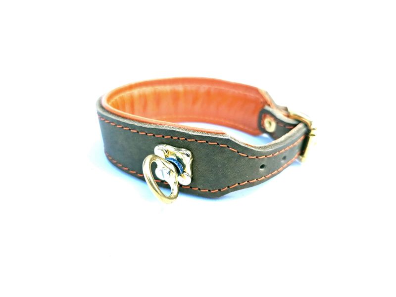 Blood tracking collar olive orange 3,5 cm wide