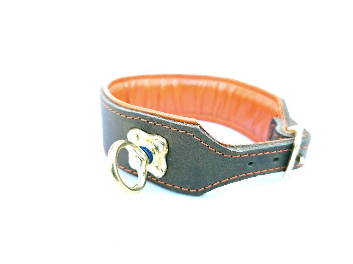 Blood tracking collar olive orange