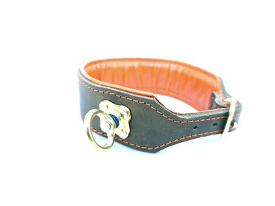 Blood tracking collar olive orange