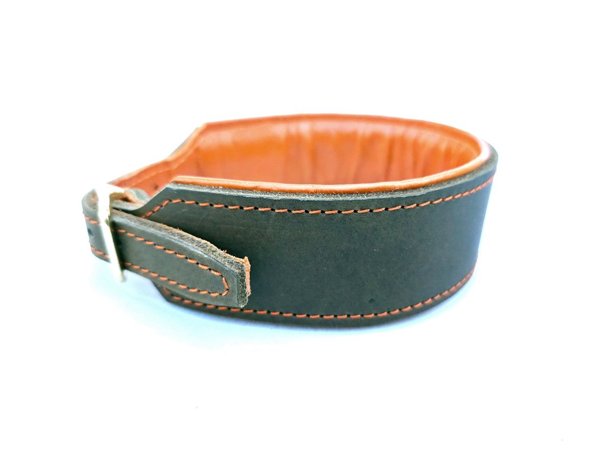 Blood tracking collar olive orange
