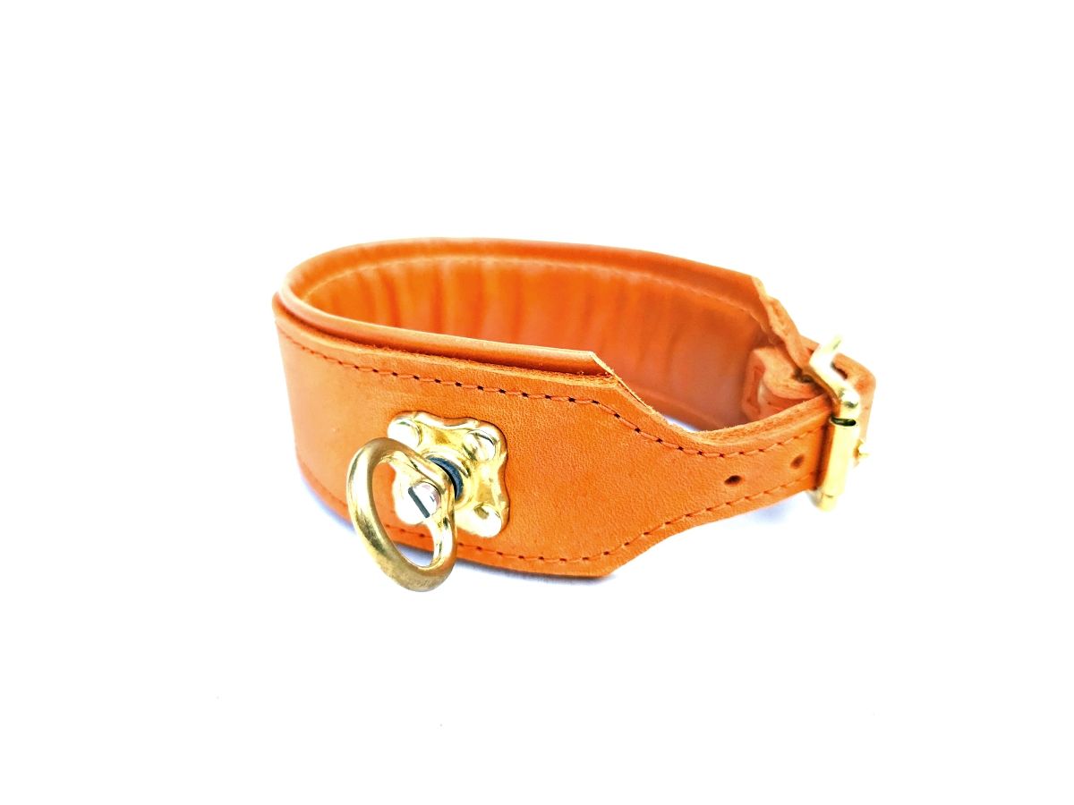 Blood tracking collar orange