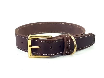 Halsung Jagdhund