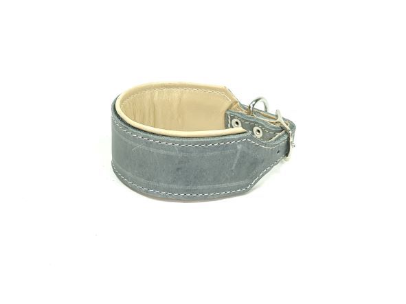 Padded Greyhound leather collar, gray cream  4.5 cm wide