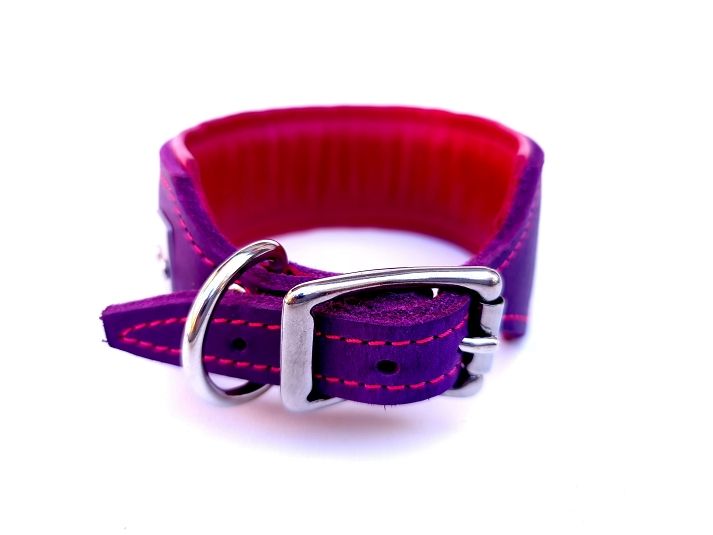 Greyhound leather collar, purple pink 4,5 cm wide