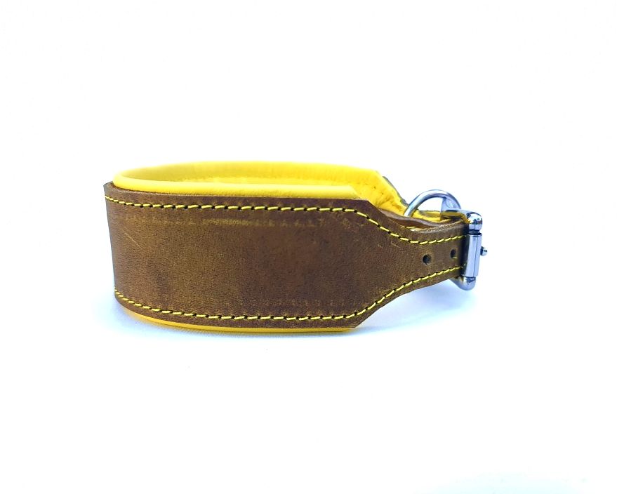 Greyhound leather collar, olive yellow 4.5 cm wide