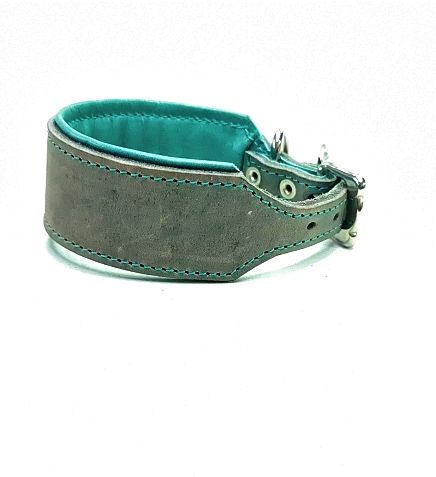 Greyhound leather collar grey turquoise 4,5 cm wide