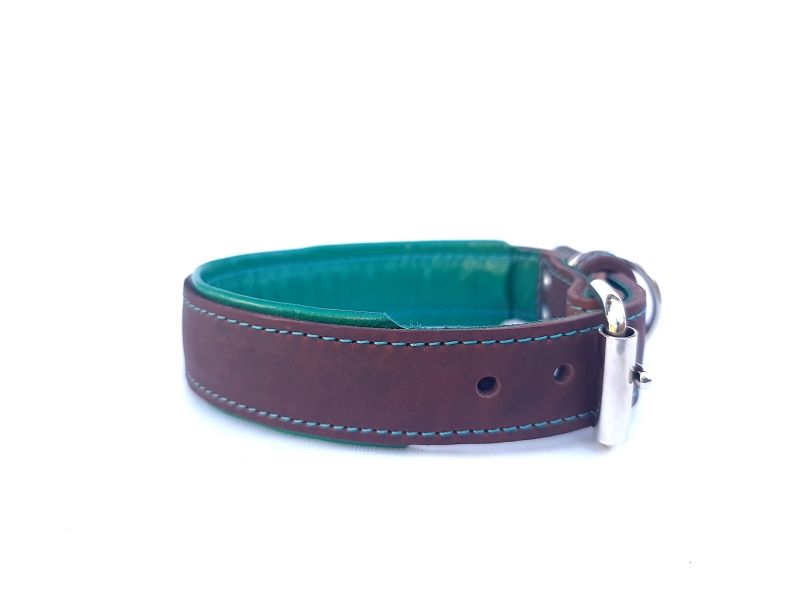 Padded Leather Collar Brown-turquoise 3.5 cm wide