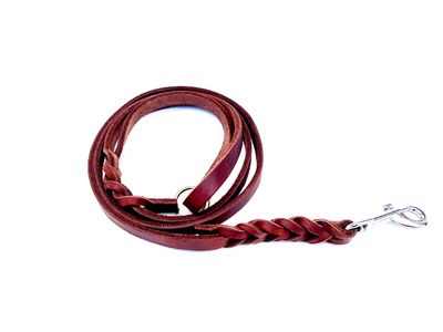Short dog leash