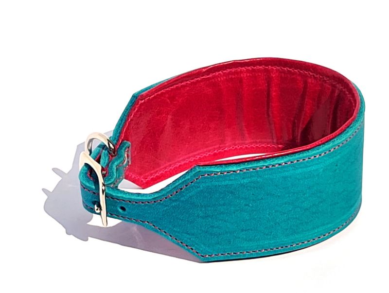 Sighthound leather collar turquoise pink 6.5 cm wide