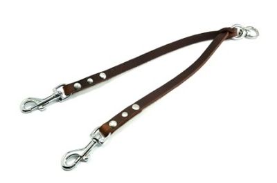 Double dog leash / coupler leash