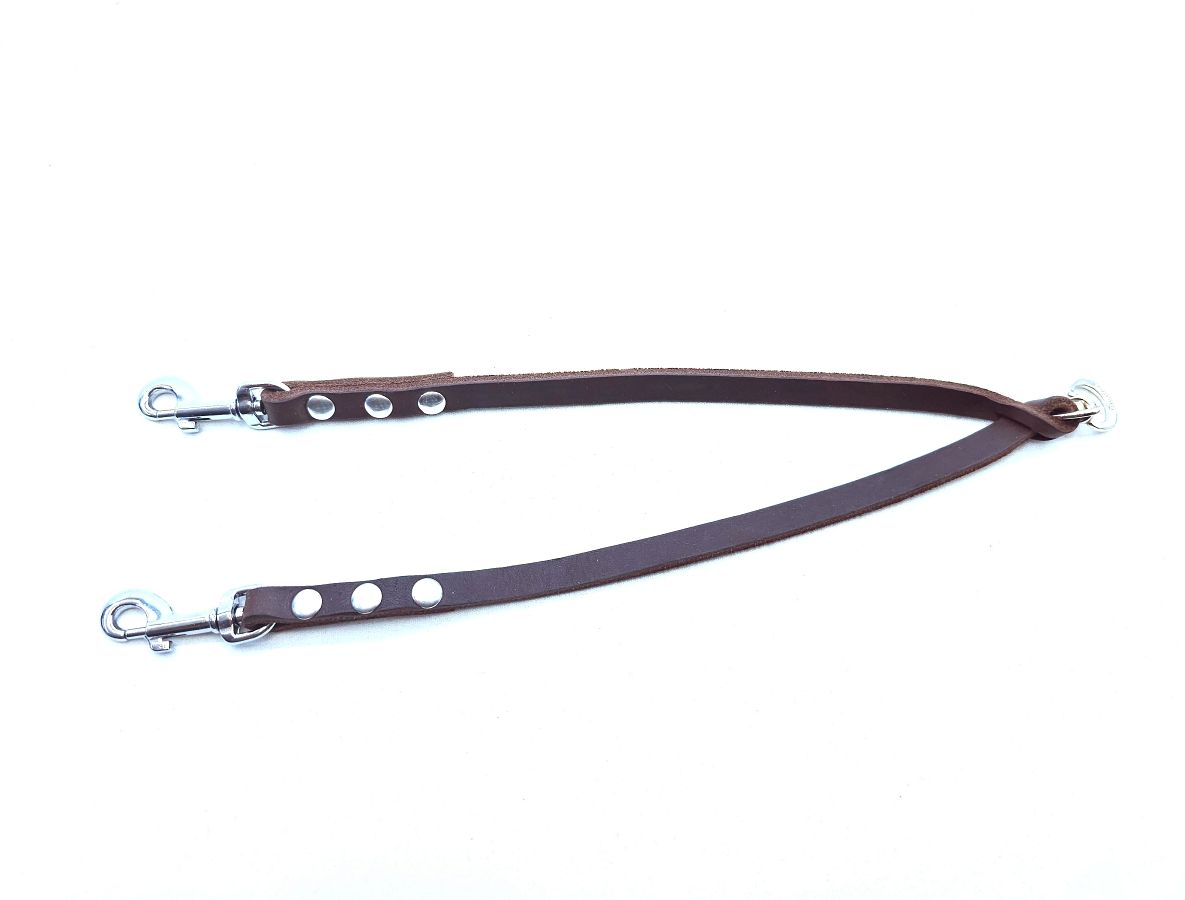 Coupler leash / double dog leash for small dogs