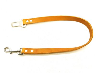 Dog seat belt