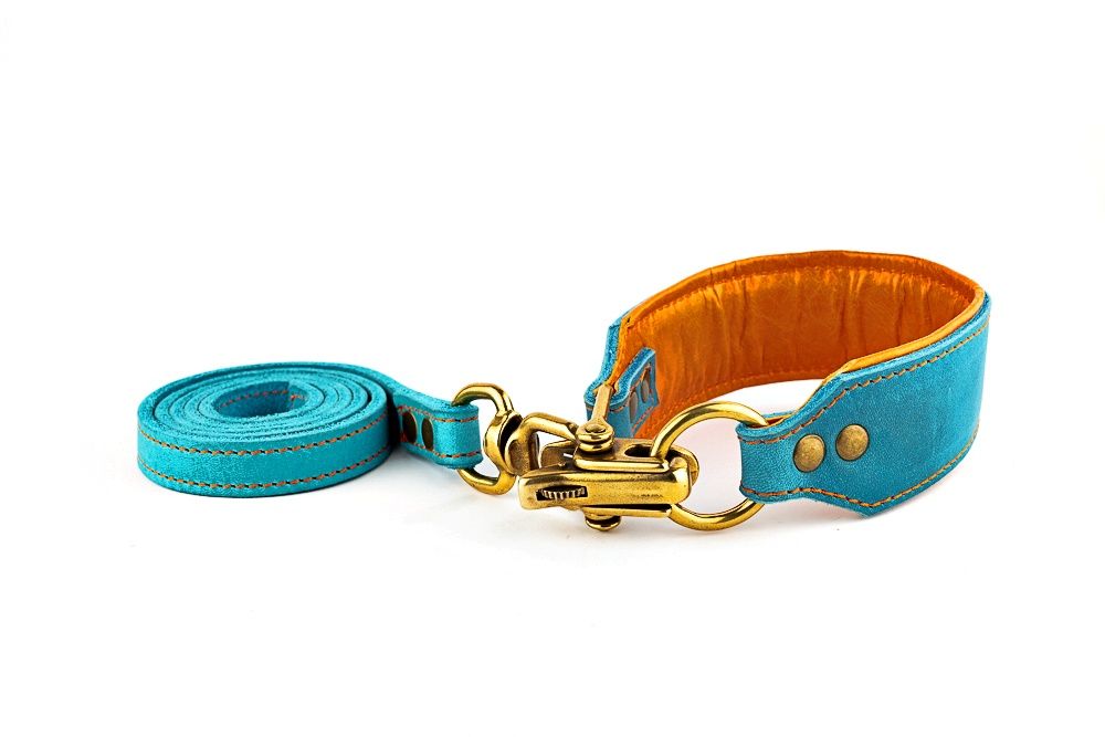 Padded Quick-release leash in turquoise and orange