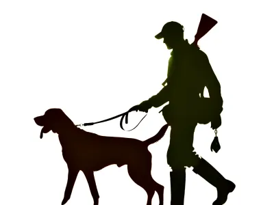Leash Hunting dog