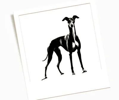 Collar whippet