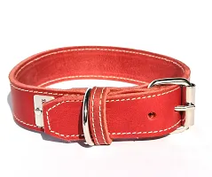 Leather collar red 3 cm wide